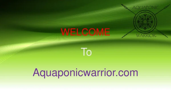 Aquaponic Warrior