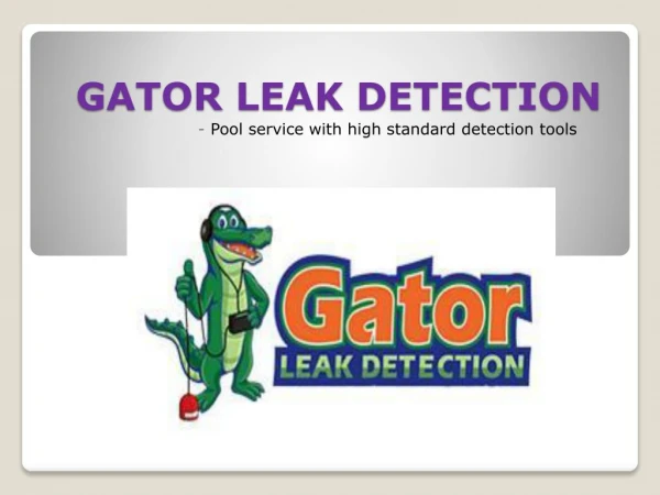 Gator Leak Detection- Pool service with high standard detection tools