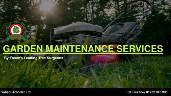Garden maintenance services | valiant arborist