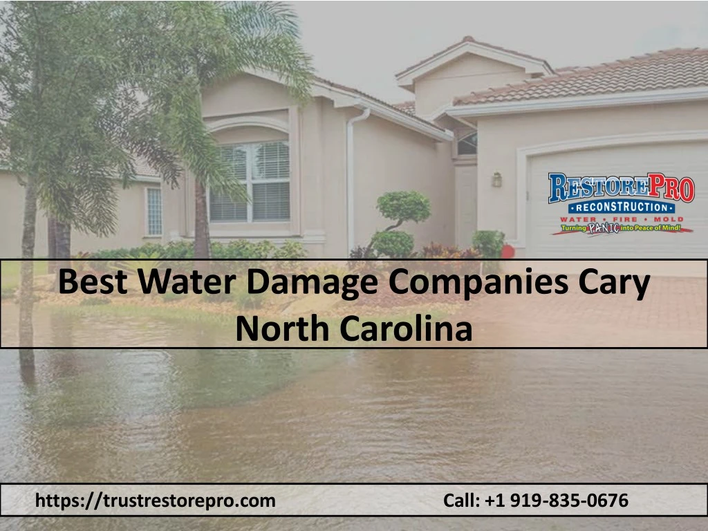 best water damage companies cary north carolina