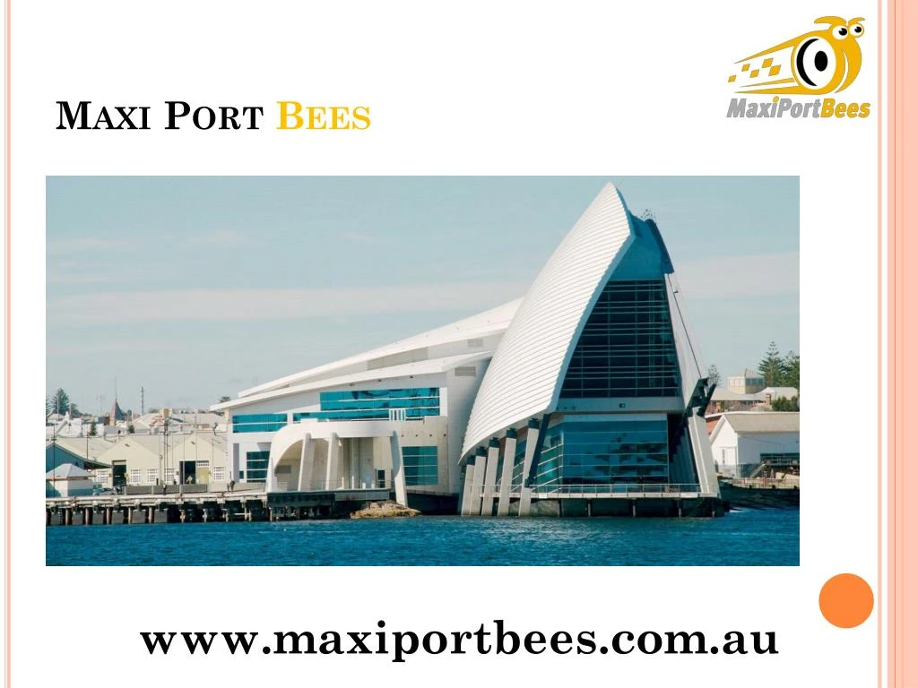 maxi port bees