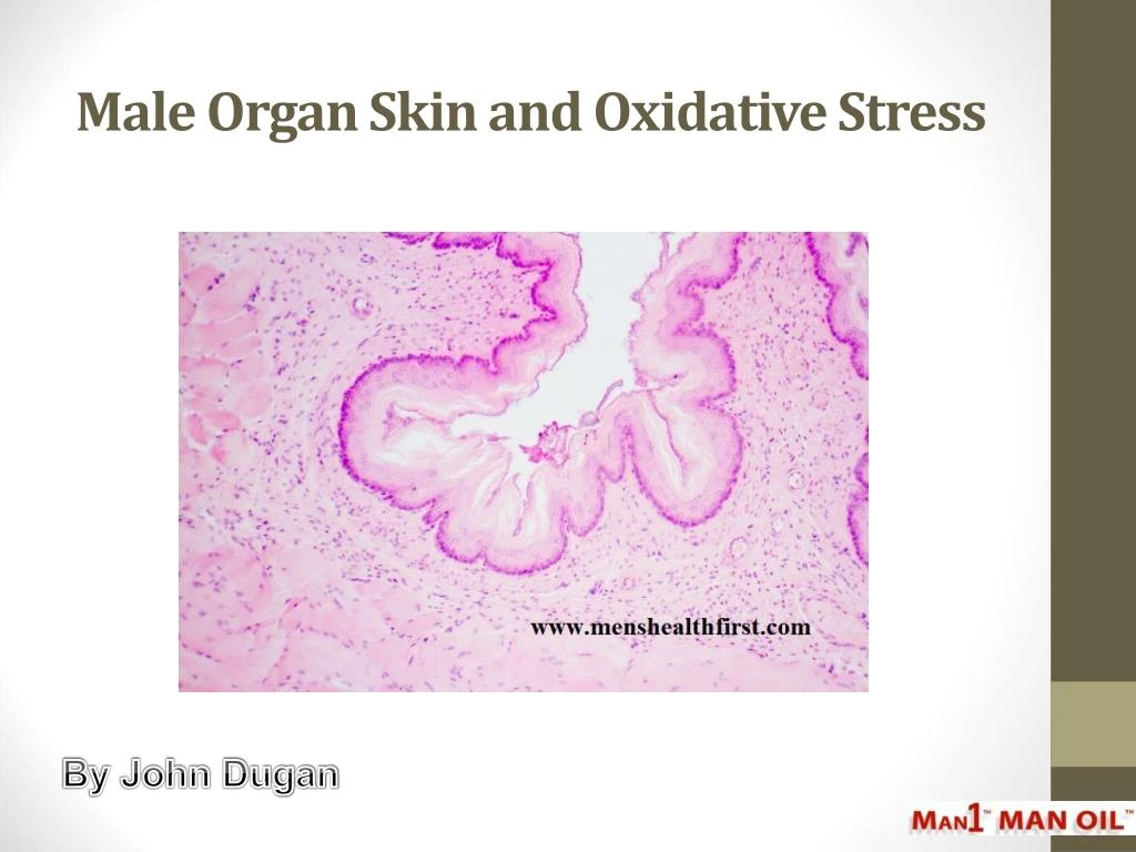 male organ skin and oxidative stress