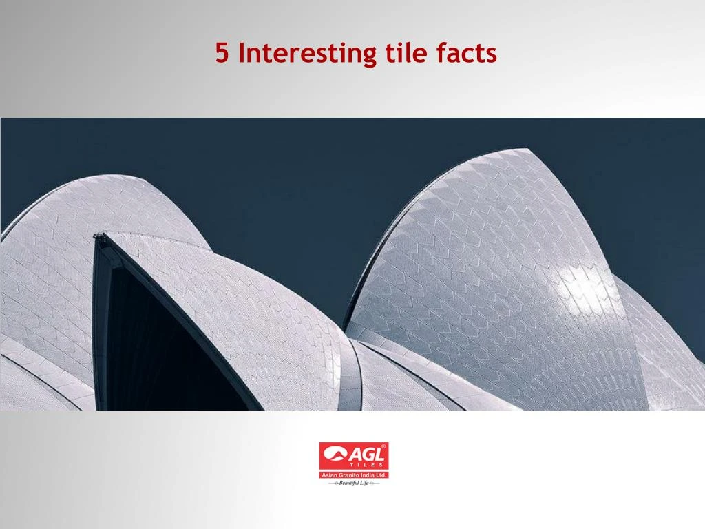 5 interesting tile facts