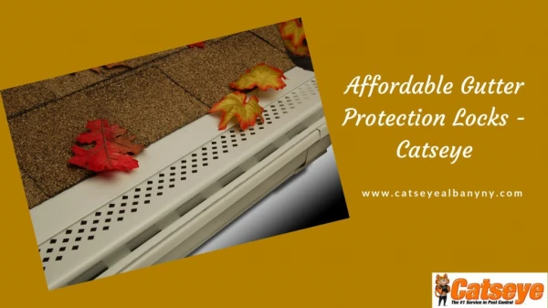 Affordable Gutter Protection Locks - Catseye