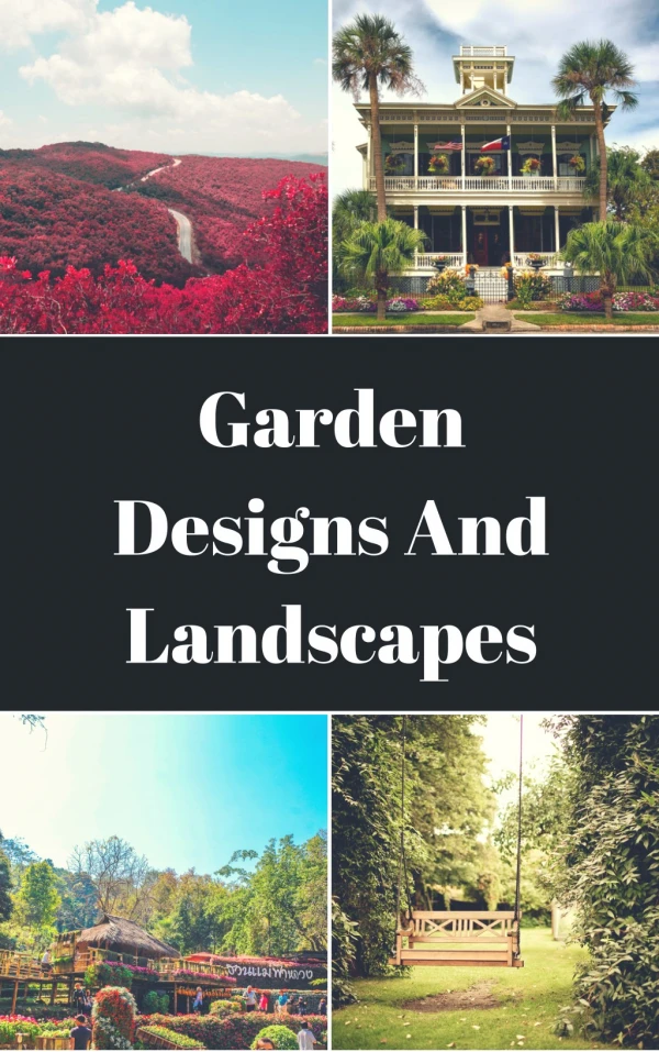 Why do we need a Landscape Designer?