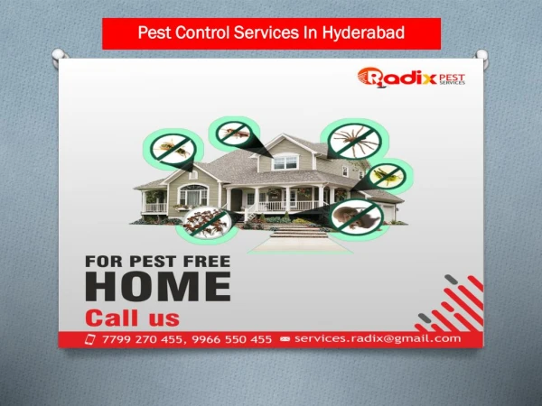 Pest control Services in hyderabad