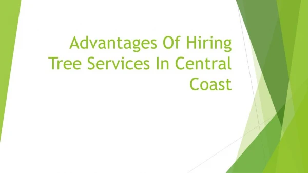 Advantages Of Hiring Tree Services In Central Coast