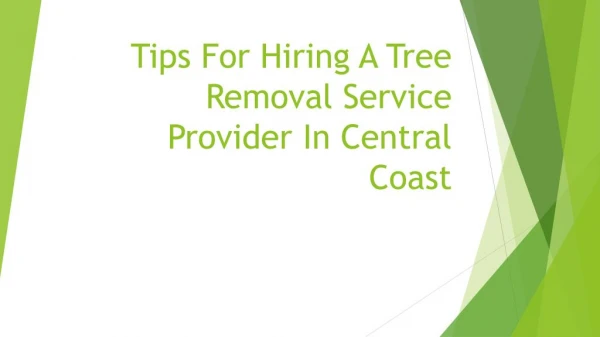 Tips For Hiring A Tree Removal Service Provider In Central Coast