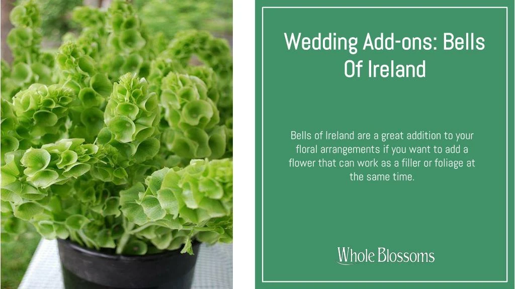 wedding add ons bells of ireland