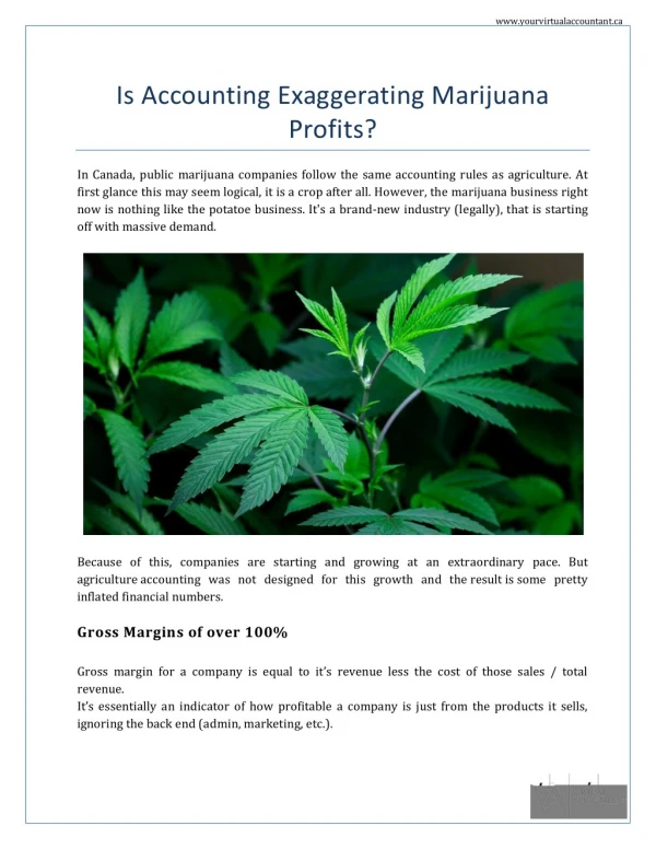Is accounting exaggerating marijuana profits | Virtual Accountant