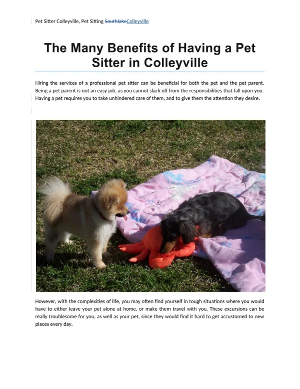 The Many Benefits of Having a Pet Sitter in Colleyville