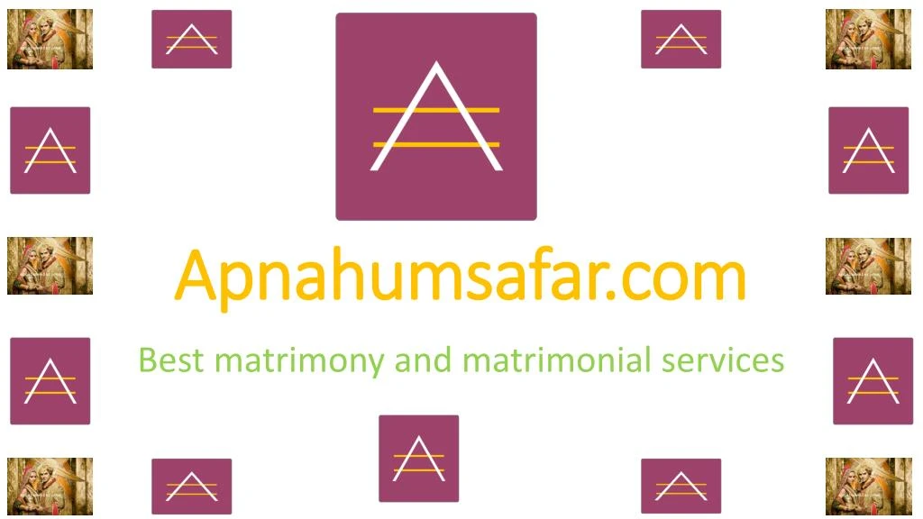 apnahumsafar com