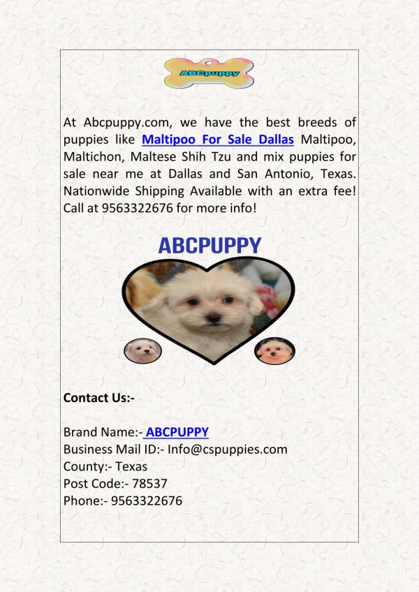 Find the Cute Maltipoo Puppies For Sale in Dallas