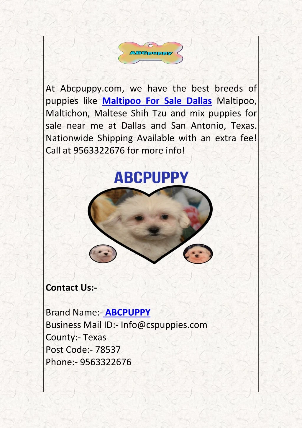 at abcpuppy com we have the best breeds