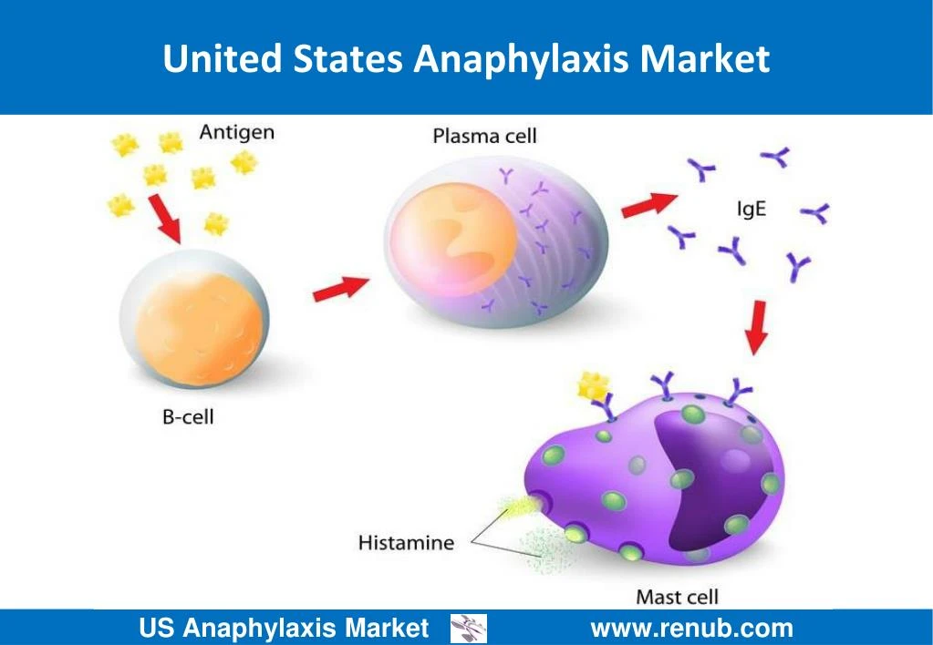 united states anaphylaxis market