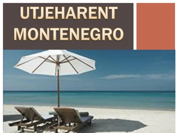 Montenegro apartment for rent