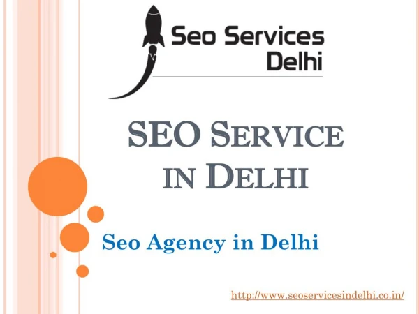 Top Seo Agency in Delhi | Best SEO Service Provider in Delhi