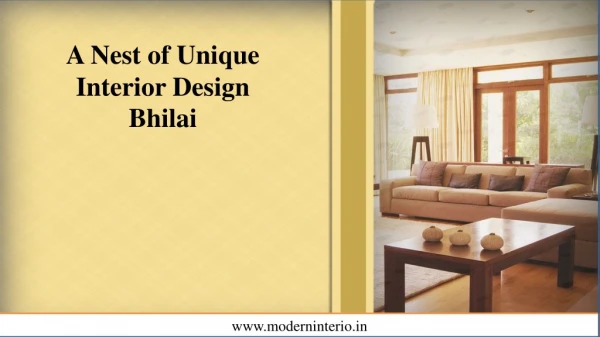 A Nest of Unique Interior Design Bhilai
