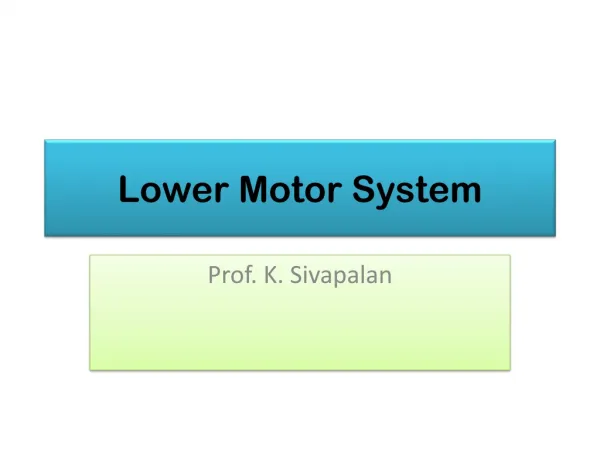 Lower Motor System