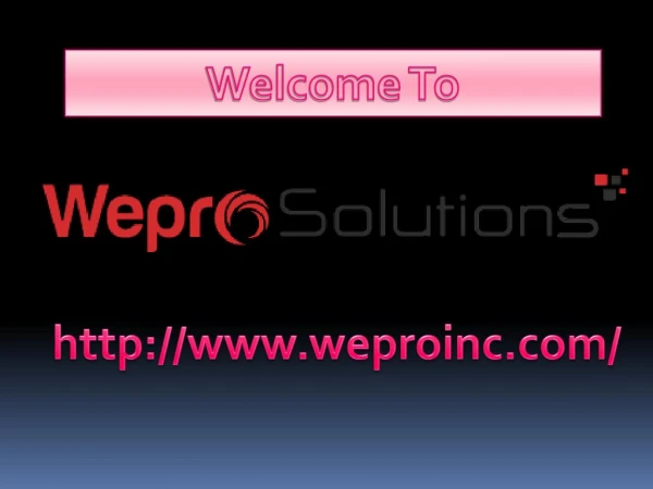 Wepro Solution technical support| Website design and development