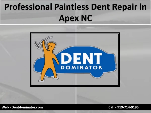 Professional Paintless Dent Repair in Apex NC