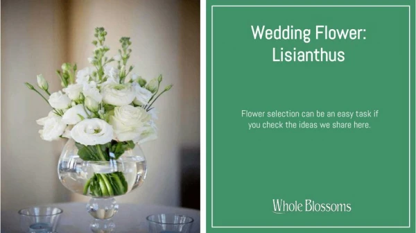 Create the Best Lisianthus Flower Arrangements