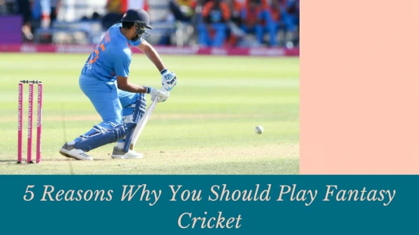 Reasons Why You Should Play Fantasy Cricket