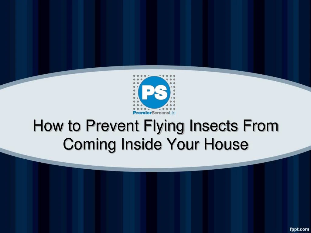 how to prevent flying insects from coming inside your house
