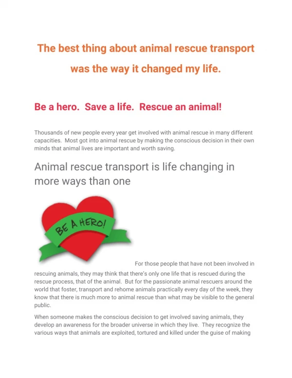 The best thing about animal rescue transport was the way it changed my life