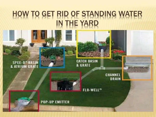 How To Get Rid Of Standing Water In The Yard?