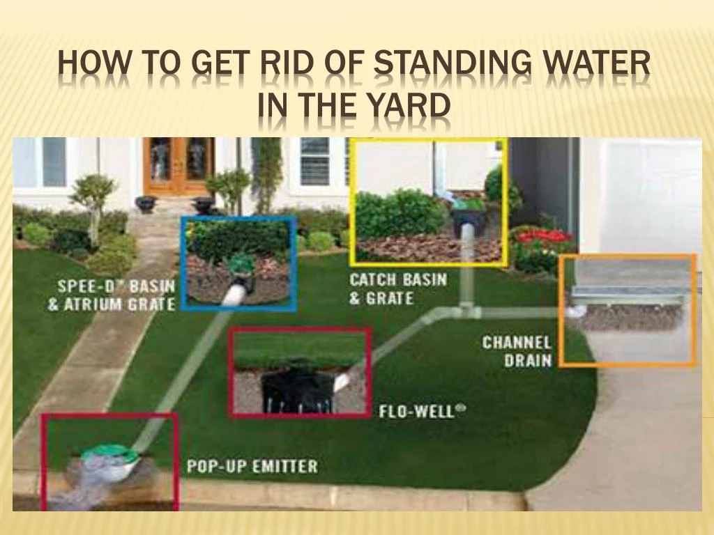how to get rid of standing water in the yard
