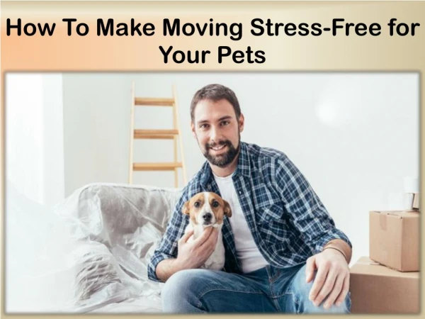 Ultimate Guide to Moving With Pets