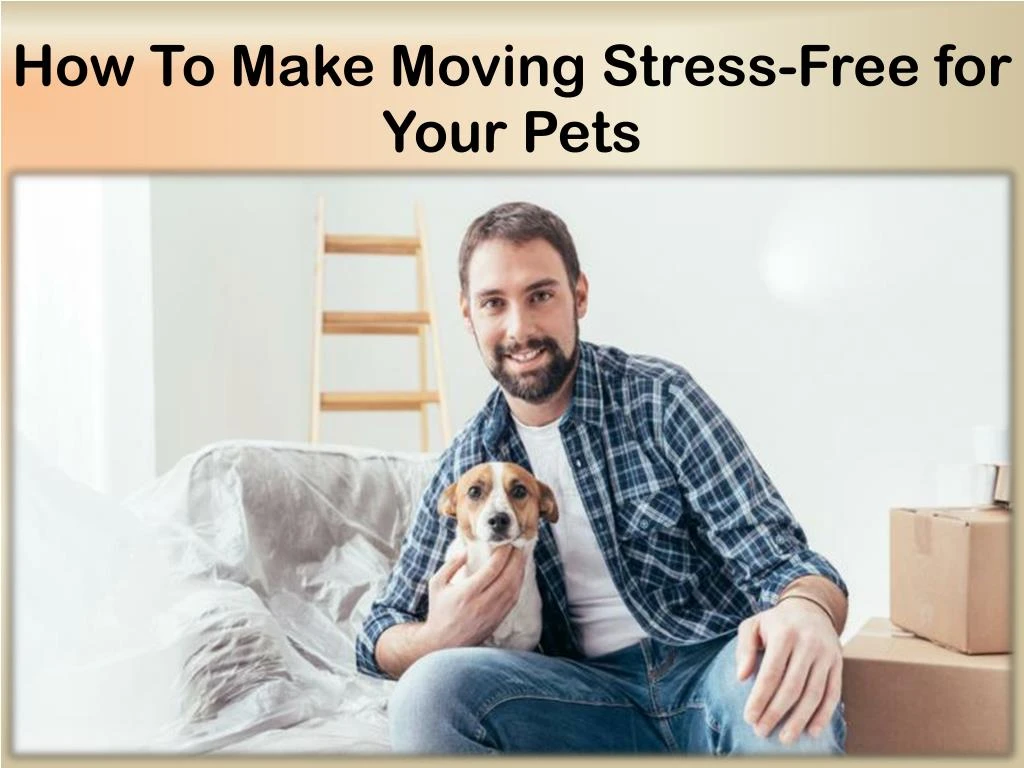 how to make moving stress free for your pets