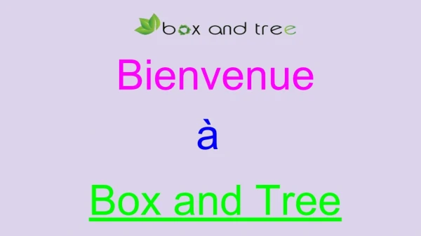 Vaisselle Jetable Biodégradable - Biodegradable Disposable Tableware | Box and Tree