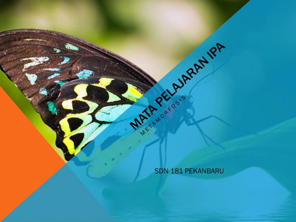 mata pelajaran ipa