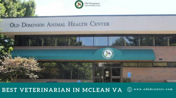 Best Veterinarian In McLean VA