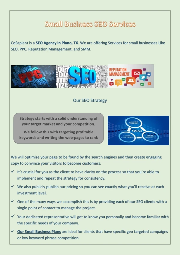 Small Business SEO Services