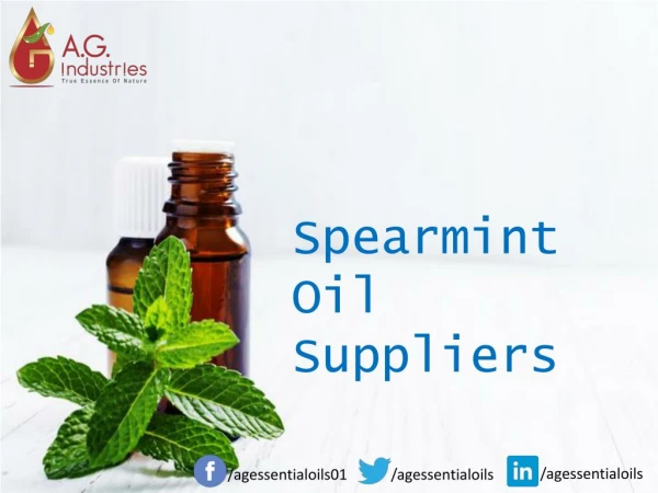 Spearmint Oil Suppliers