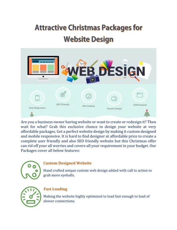 Attractive Christmas Packages for Website Design