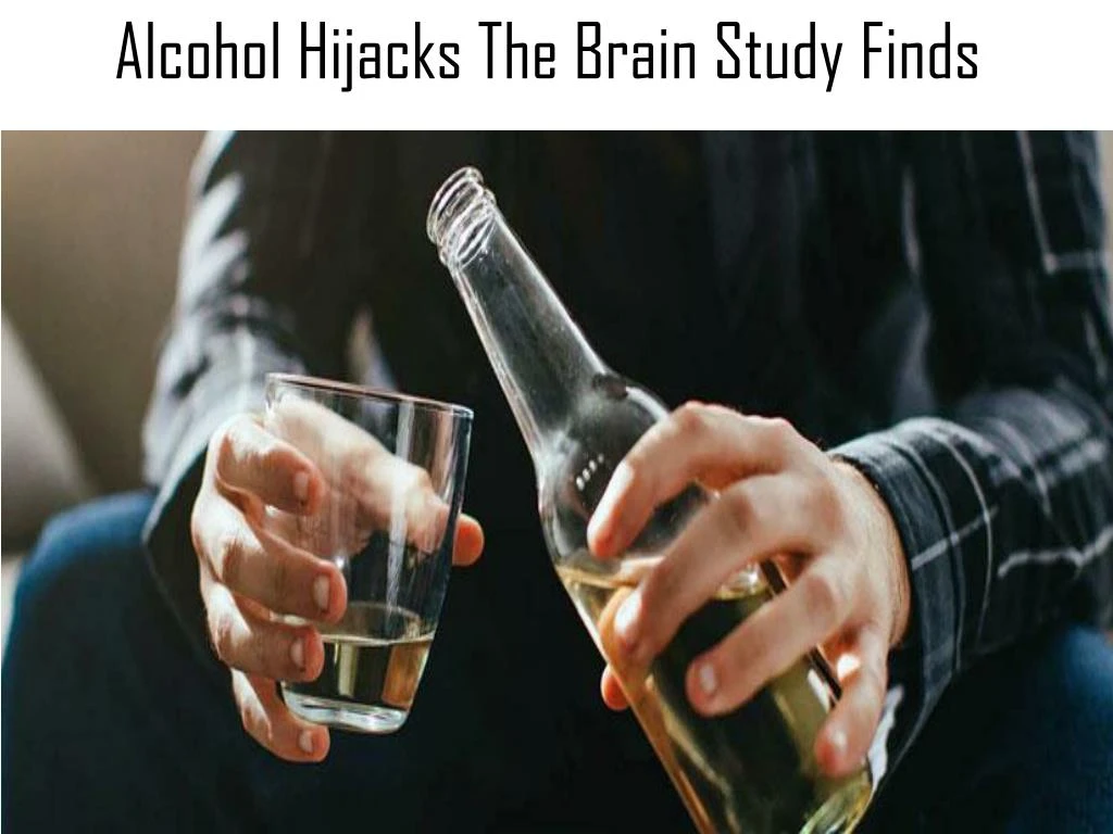 alcohol hijacks the brain study finds