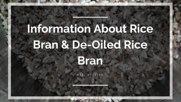Meal Brokers: The Best Rice Bran & De-Oiled Rice Bran Suppliers