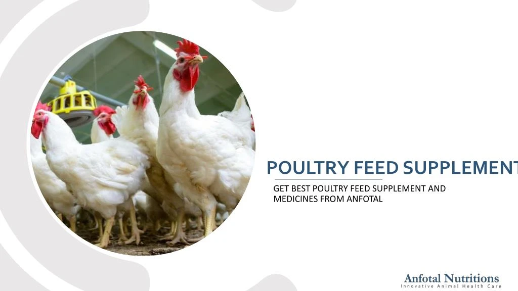 poultry feed supplement