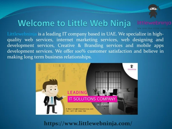 Little Web Ninja - A Leading IT Solution Company in UAE