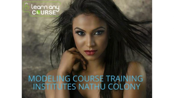 Modeling Course Training Institutes Nathu Colony