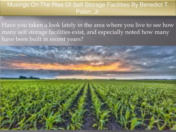 Musings On The Rise Of Self Storage Facilities By Benedict T. Palen, Jr.