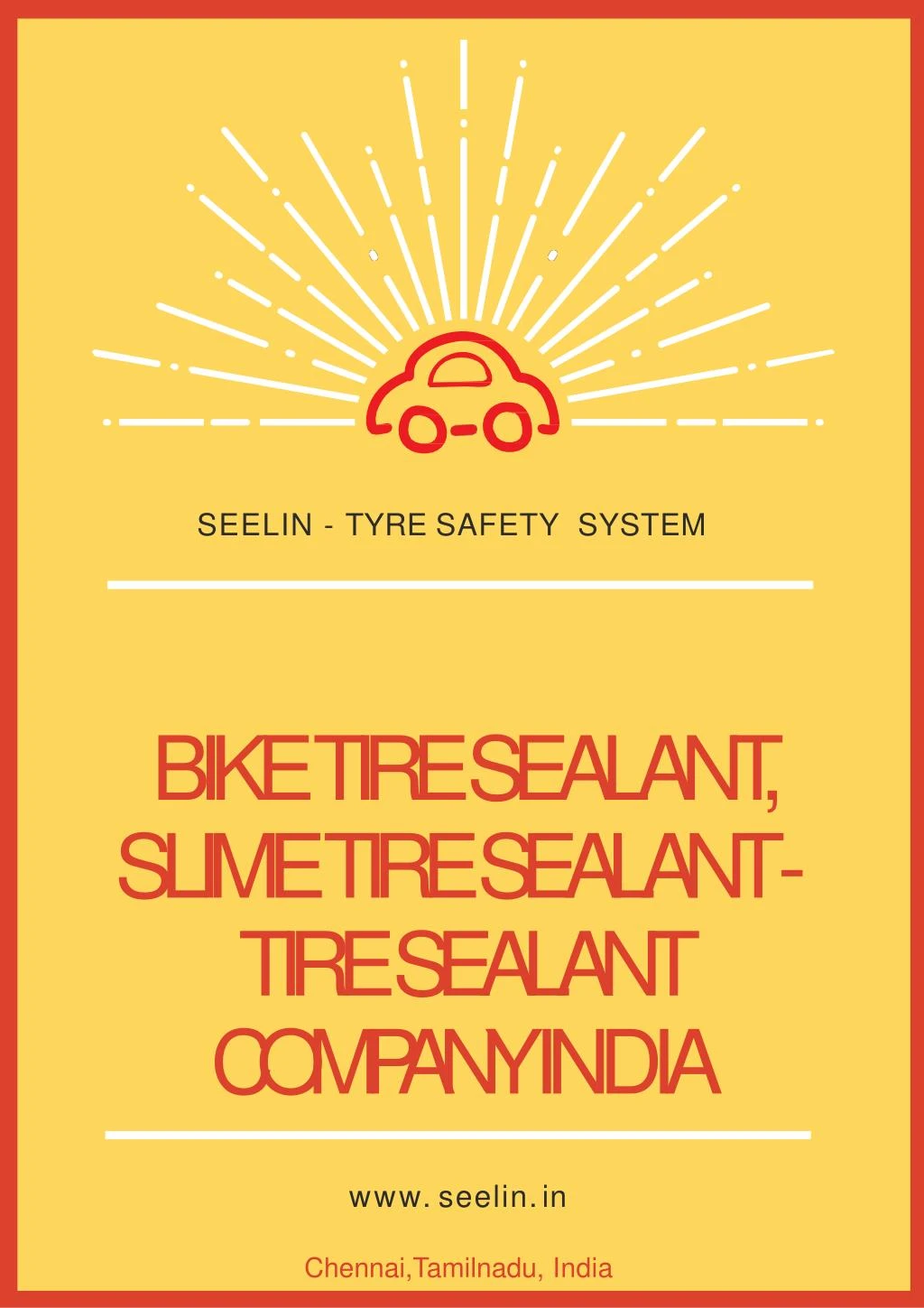 seelin tyre safety system