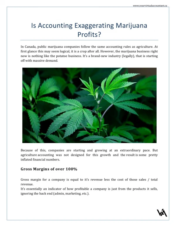 Is accounting exaggerating marijuana profits | Virtual Accountant