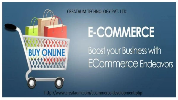Ecommerce Website Software Development Company in Varanasi