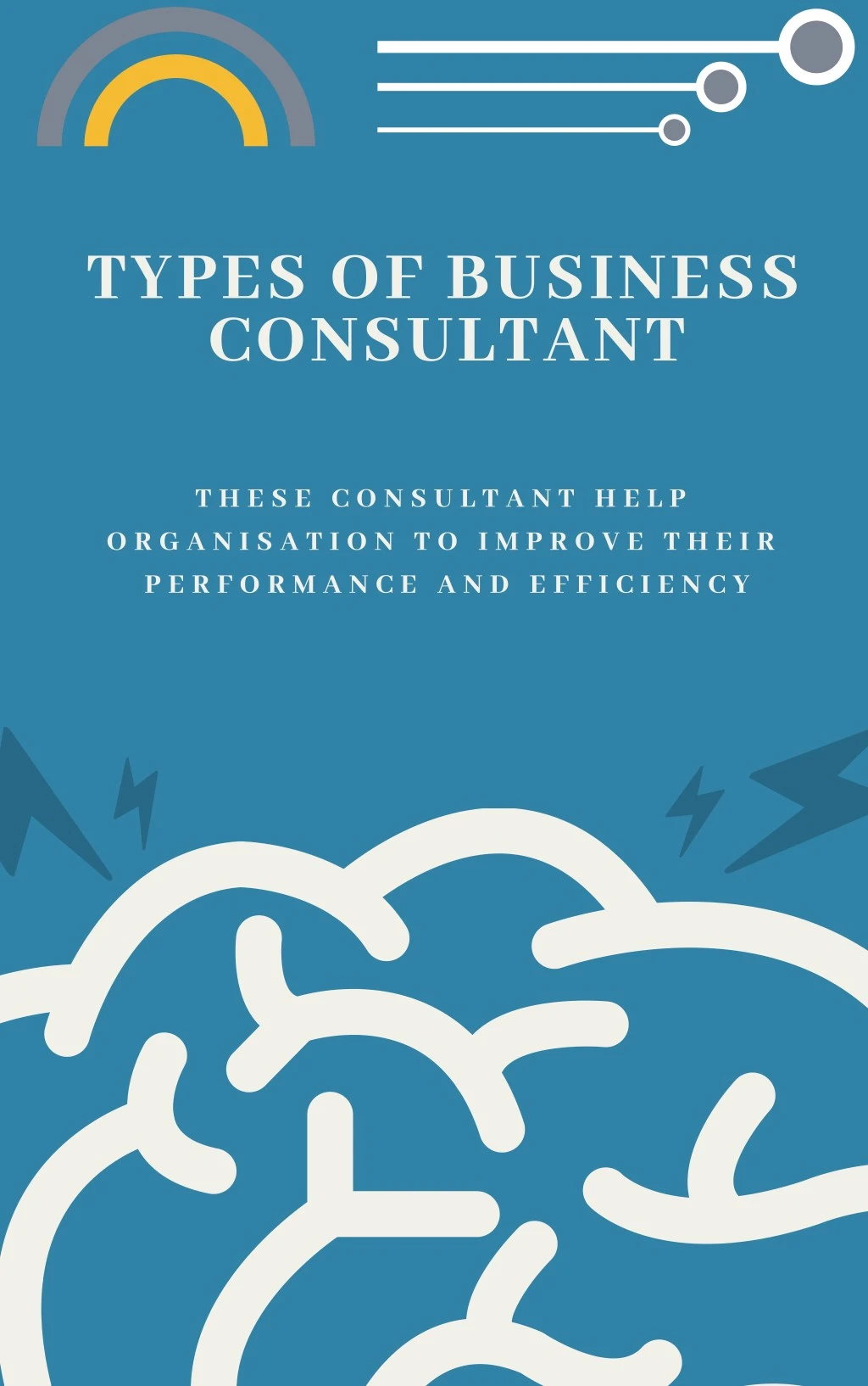types of business consultant