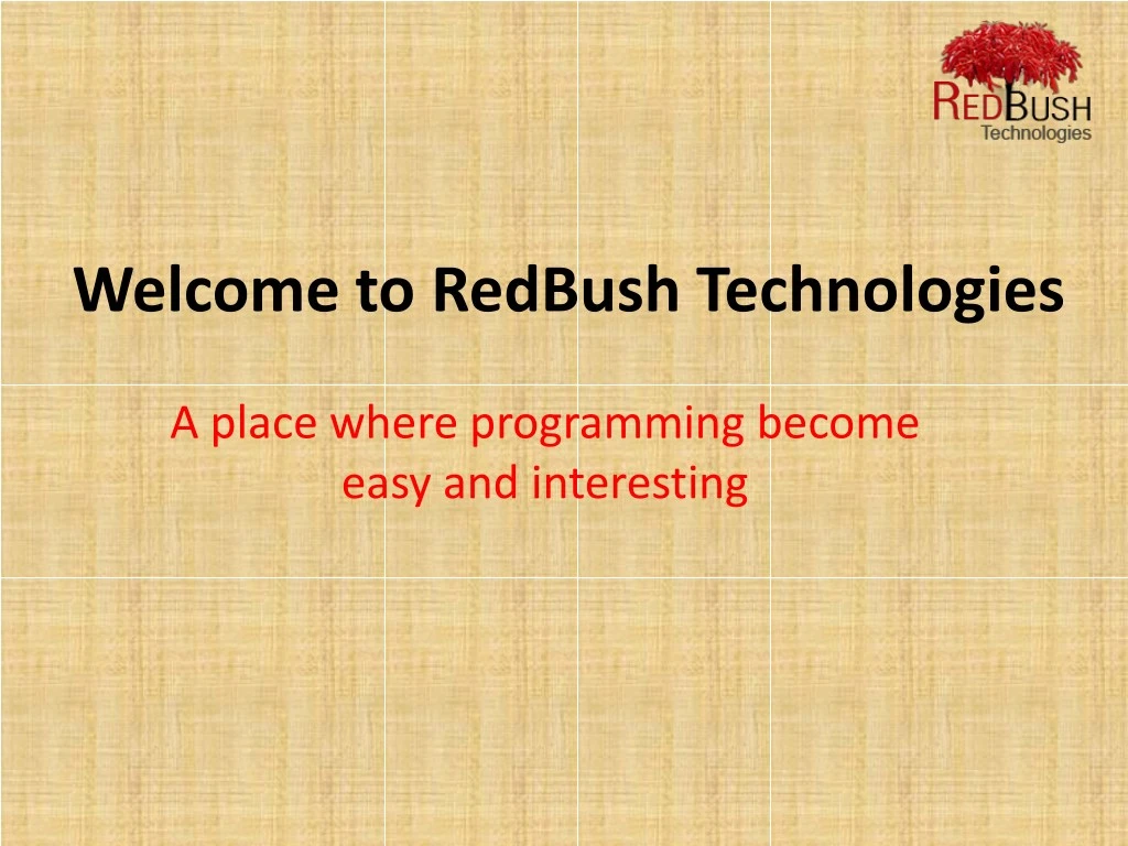 welcome to redbush technologies